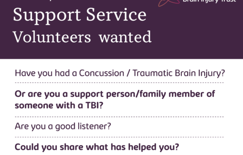 Peer support service post