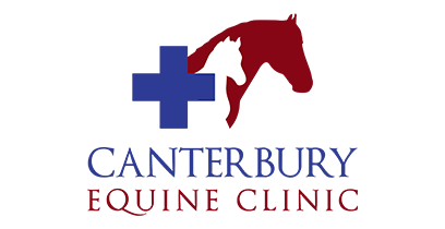Canterbury equine clinic